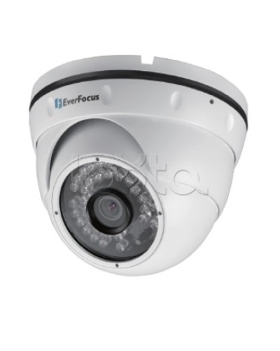 IP-камера видеонаблюдения уличная купольная EverFocus EBN-268 в Якутске IP-камеры Pintop.ru