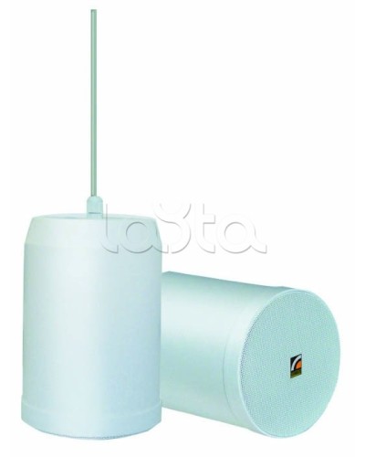 Громкоговоритель встраиваемый ROXTON SP-20T в Якутске Система оповещения и трансляции Roxton Pintop.ru