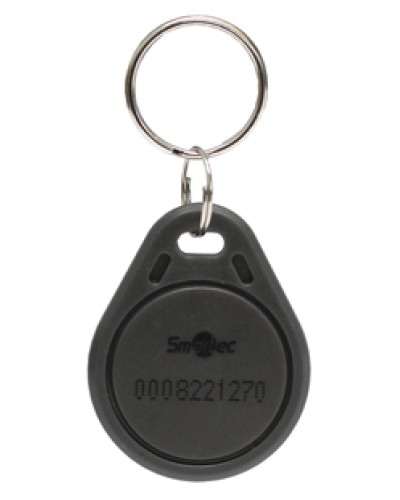 Брелок EmMarin Smartec ST-PT211EM-GR в Якутске Оптовые идентификаторы Pintop.ru